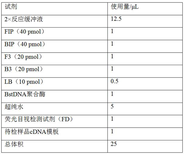 Duck Batay virus ring-mediated isothermal amplification detection primer set and kit