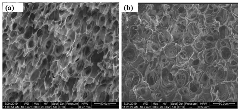 A kind of pcl/plga composite foaming oil-absorbing material and preparation method thereof