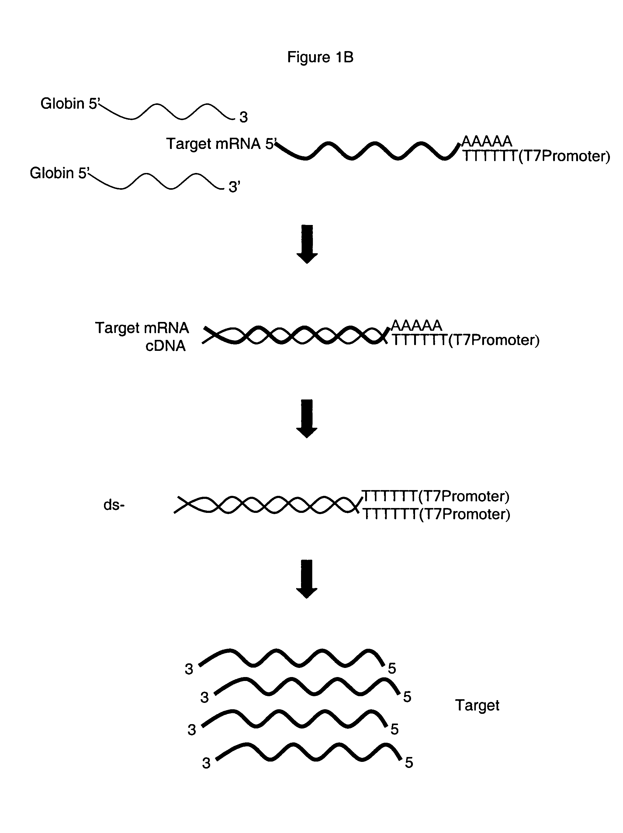 Method for depleting specific nucleic acids from a mixture