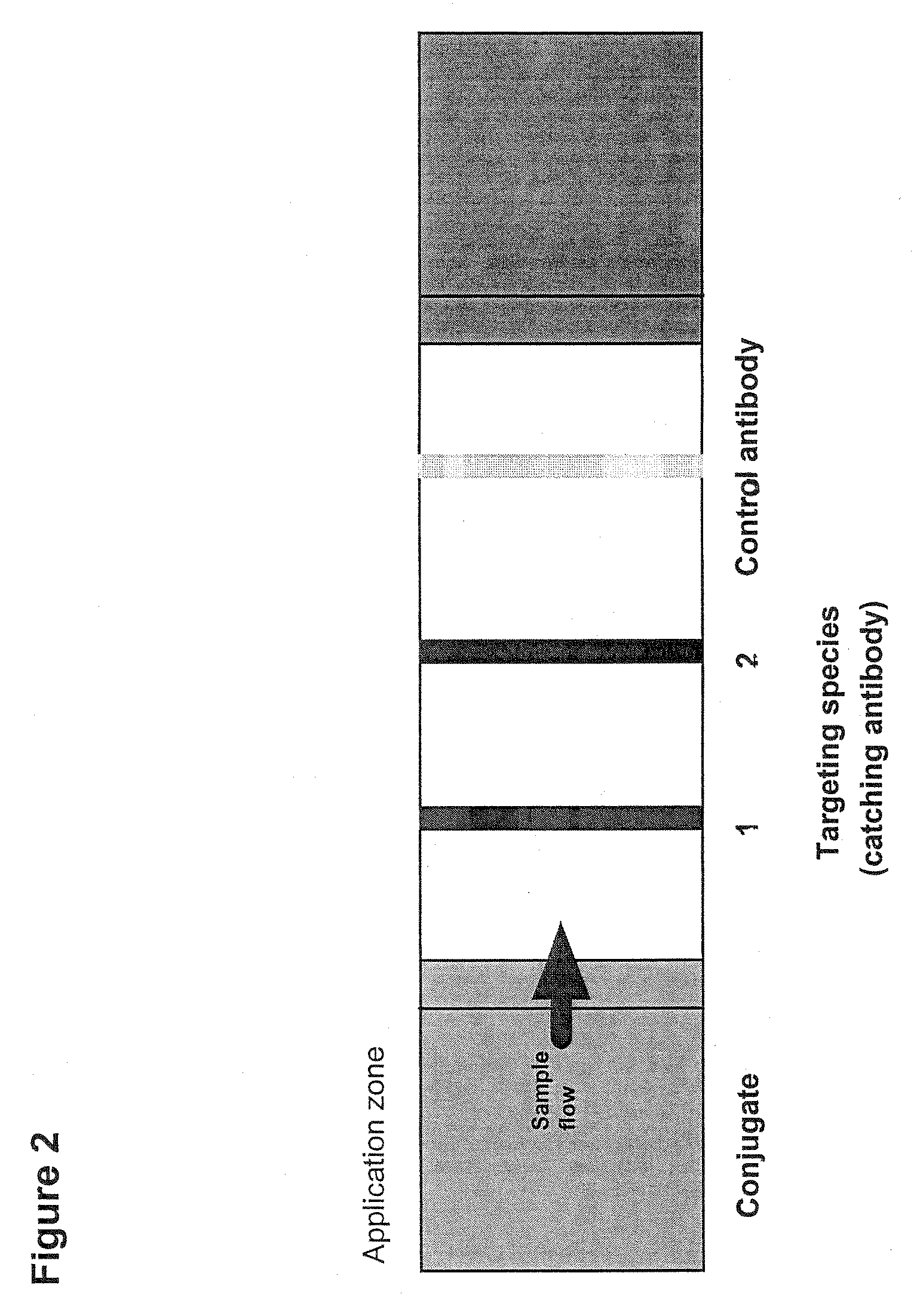 Detection of a blood coagulation activity marker in a body fluid sample