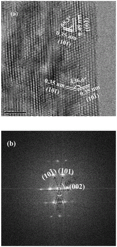 Anatase titanium dioxide nanobelt with exposed {010} crystal plane and preparation method thereof