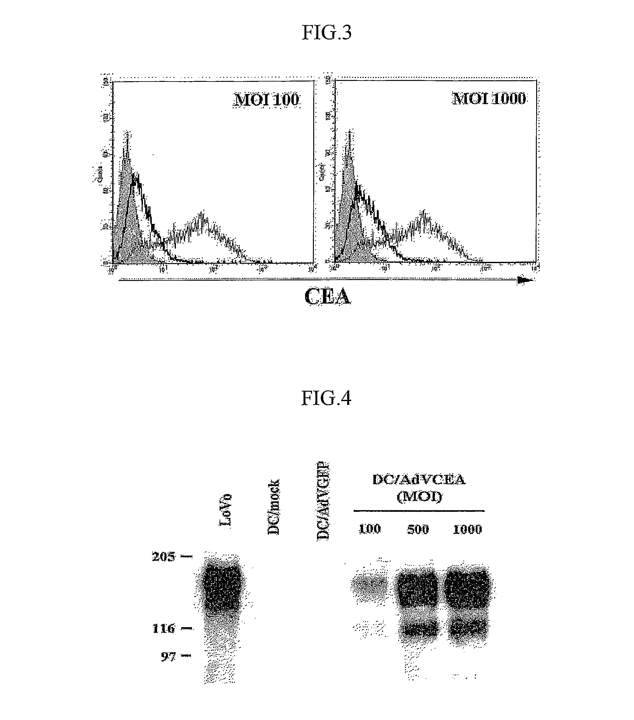 Dendrite Cells Transduced with Recombinant Adenovirus Advcea Which Generate Cea-Specific Cytotoxic T Lymphocytes, Vaccine and Pharmaceutical Composition Comprising the Same