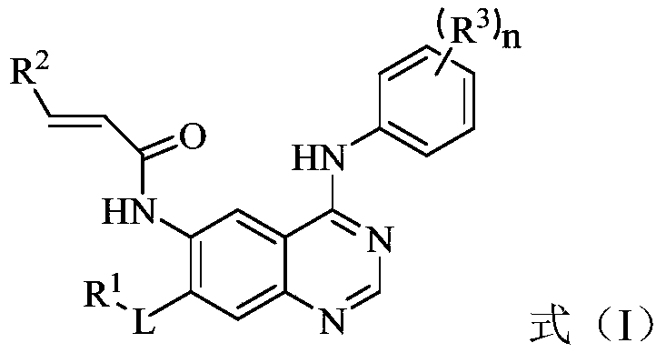 Novel application of quinazoline derivative type tyrosine kinase inhibitor