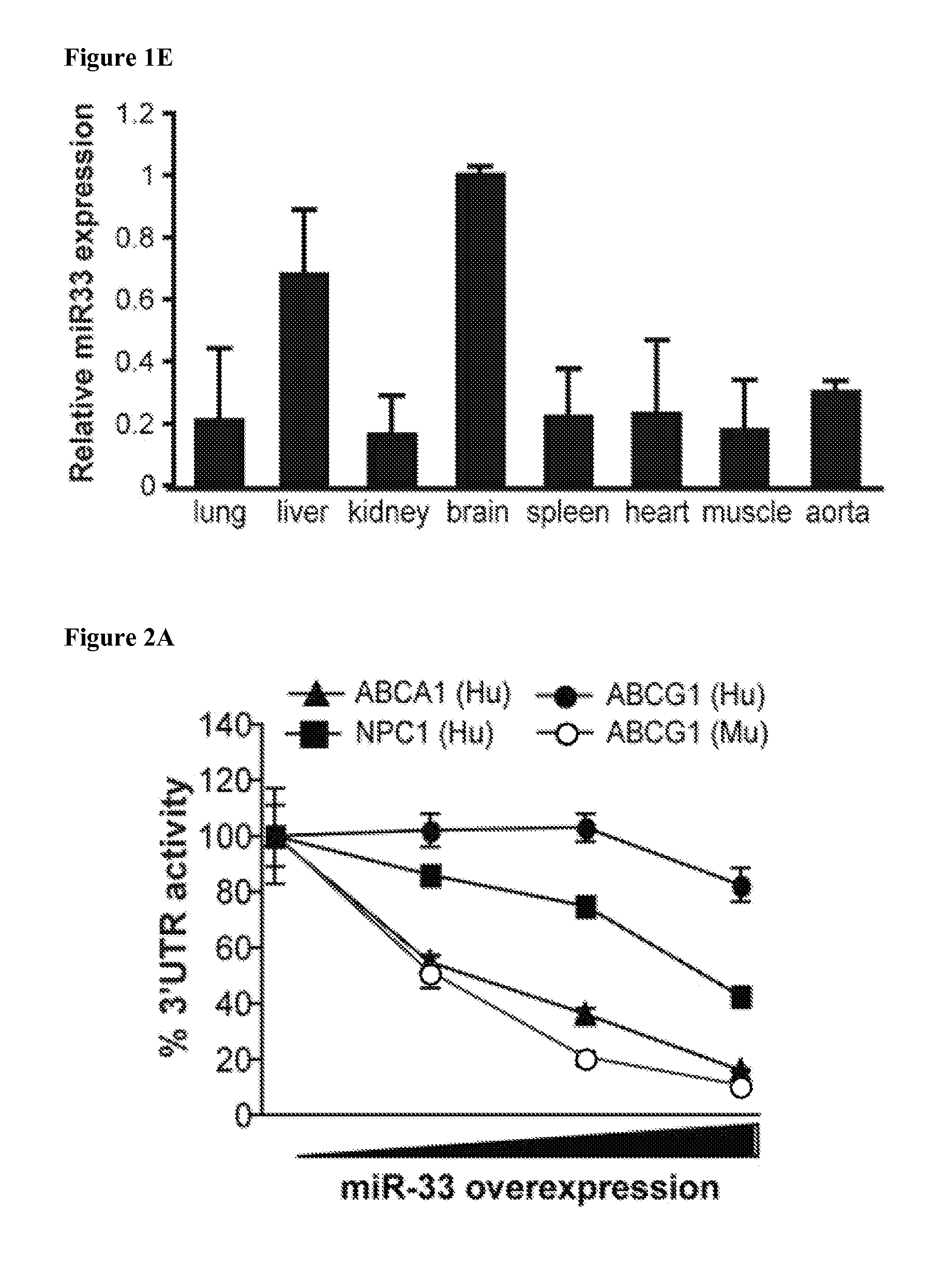 Mir-33 inhibitors and uses thereof