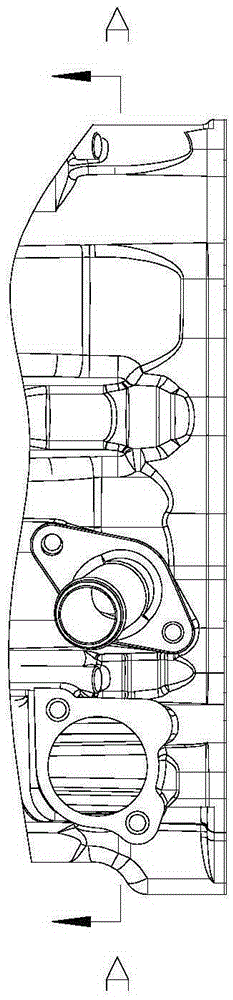 Cylinder body water jacket with orifice plug and engine cylinder body
