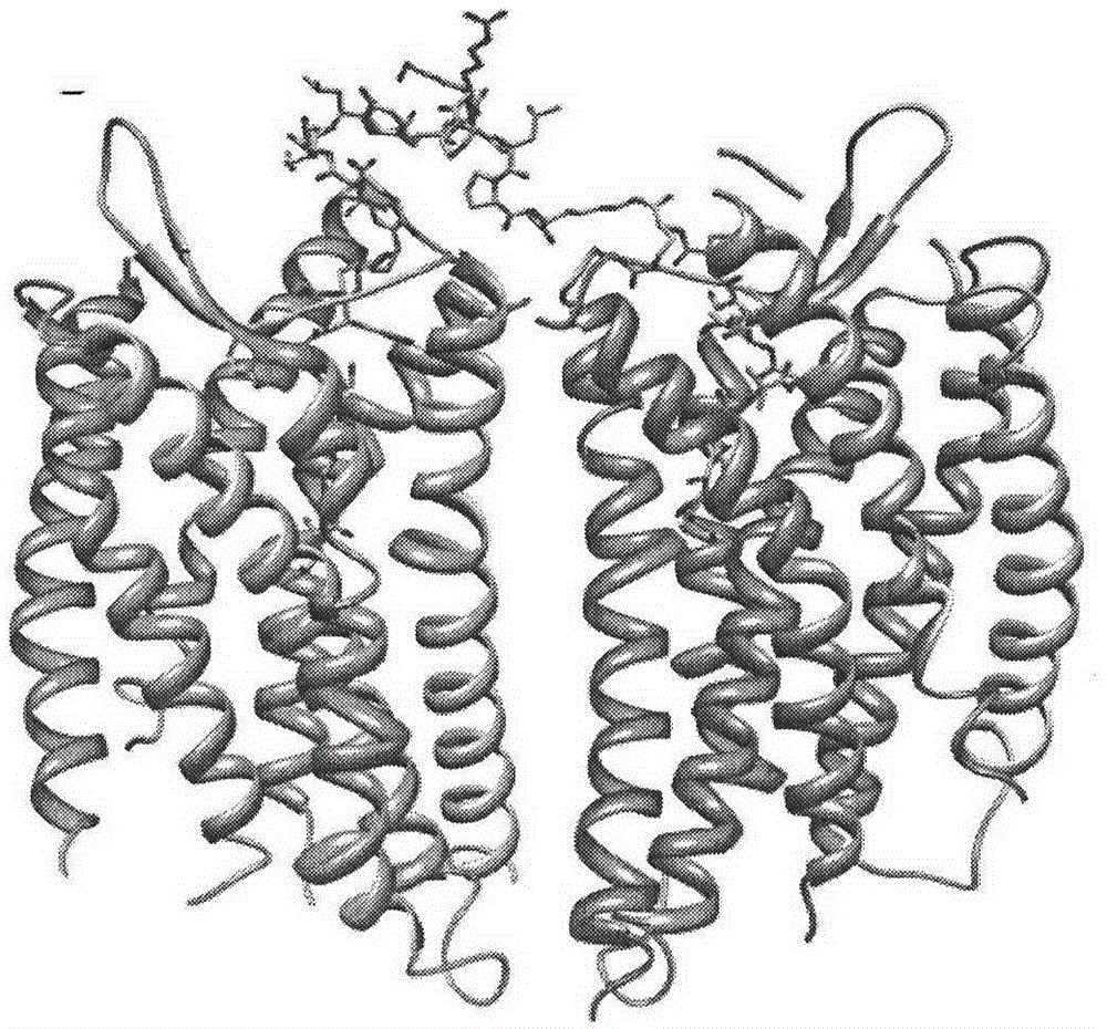 Active polypeptide with function of antagonizing chemokine receptor CXCR4 as well as design preparation and biomedical application of active polypeptide