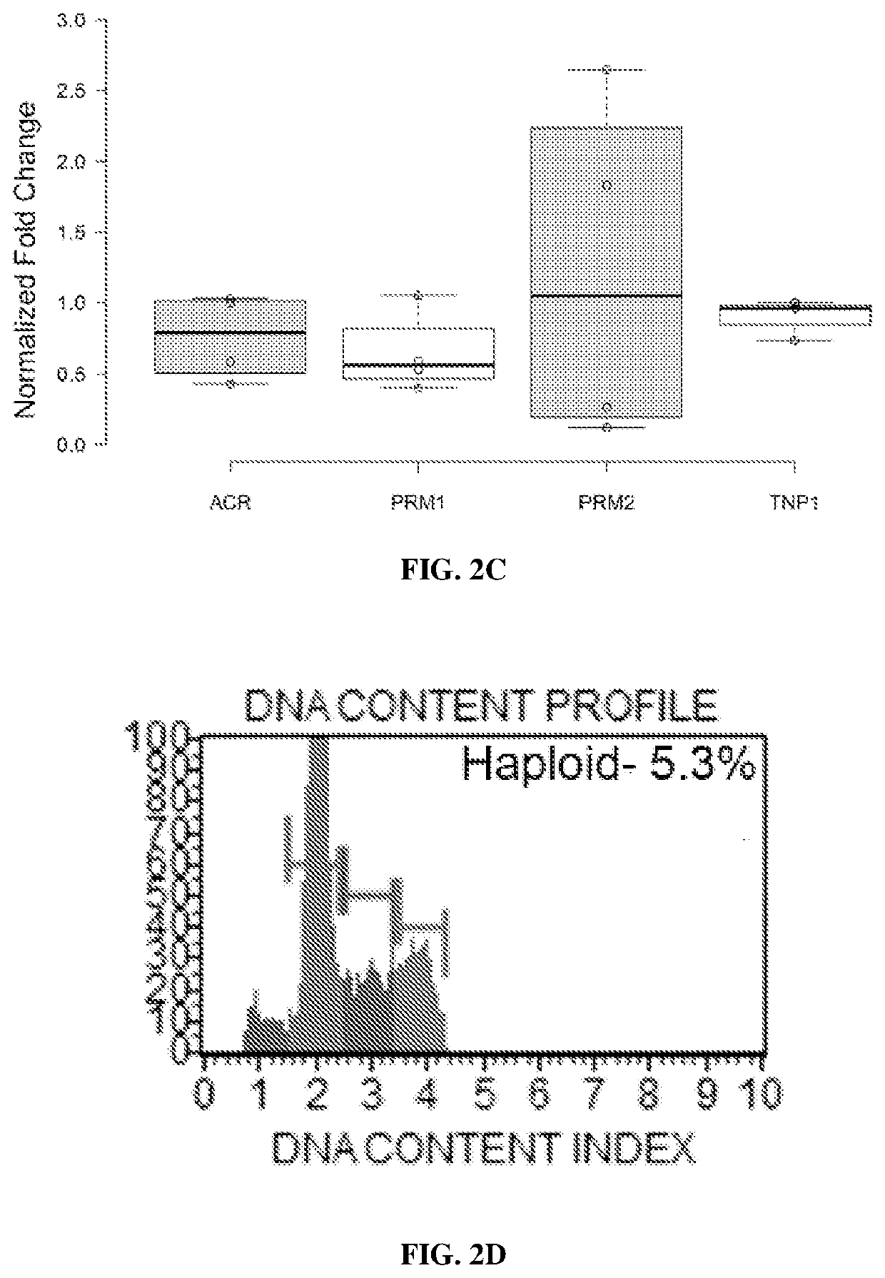 Compositions and methods for improving embryo development