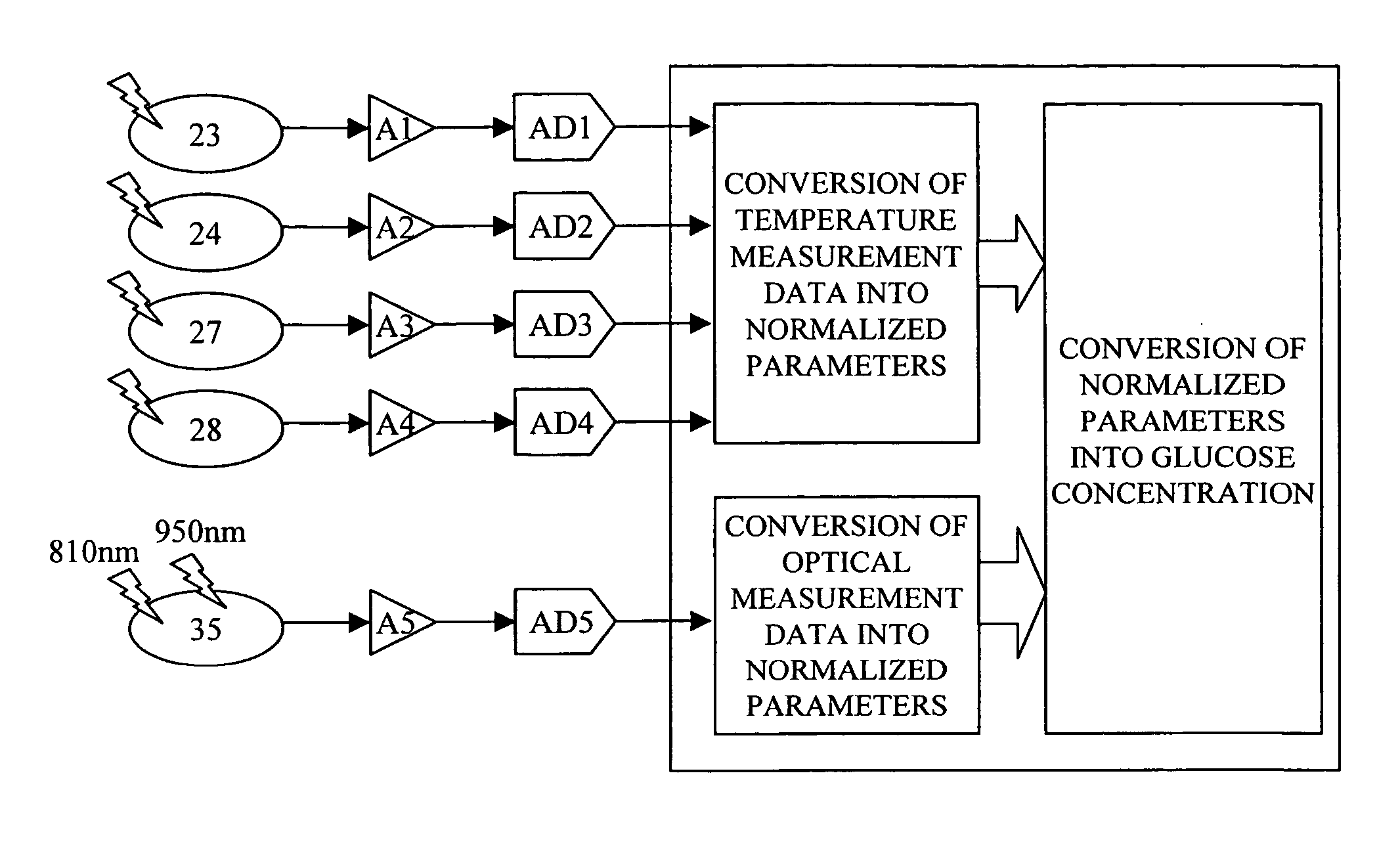 Blood sugar level measuring apparatus