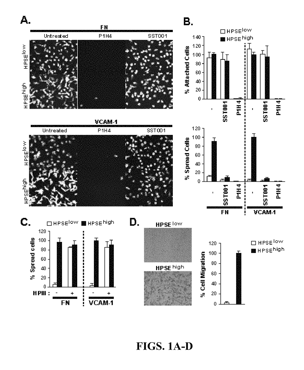 Syndecan peptides and polypeptides as inhibitors of vascular endothelial growth factor receptor-2 (VEGFR2) and very late antigen-4 (VLA-4)