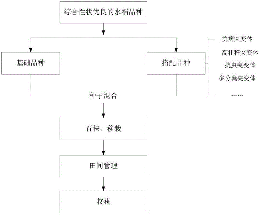 A kind of rice mixed planting method