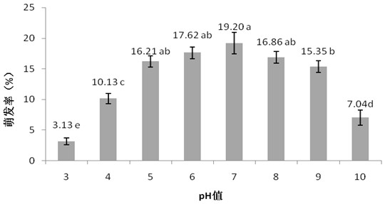 A kind of germination medium and germination method of chlamydospores of rhizoctonia rubrum