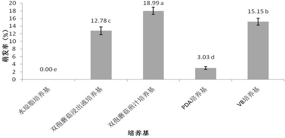 A kind of germination medium and germination method of chlamydospores of rhizoctonia rubrum