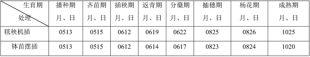 Method for mechanically transplanting rice based on pot seedling machine planting