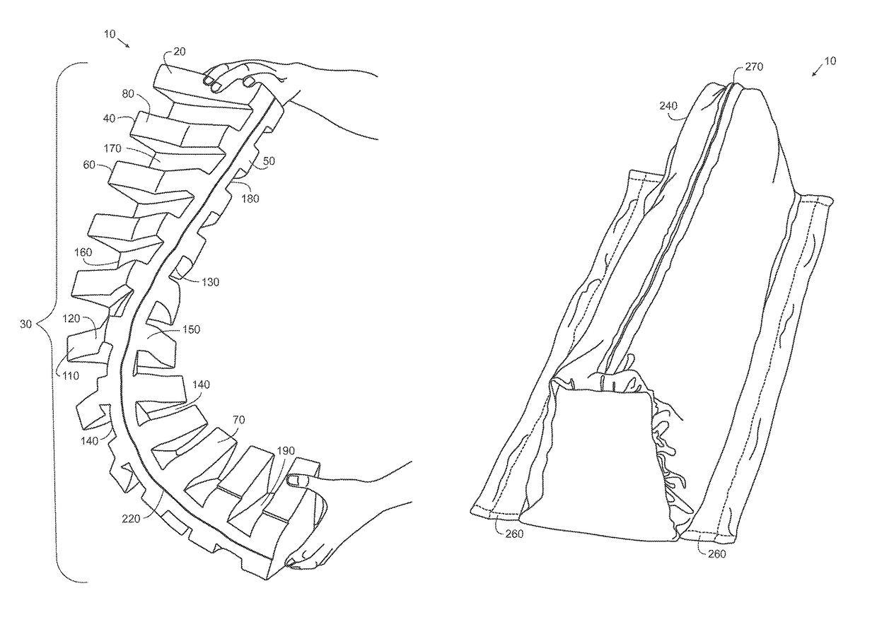 Ergonomic lateral recumbency support apparatus and system