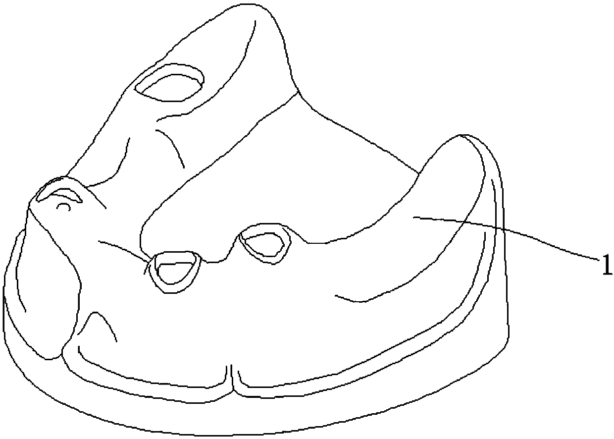 Mandibular oral cavity model with mandibular nerve canal and injection molding method