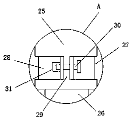 Oil peony planting device