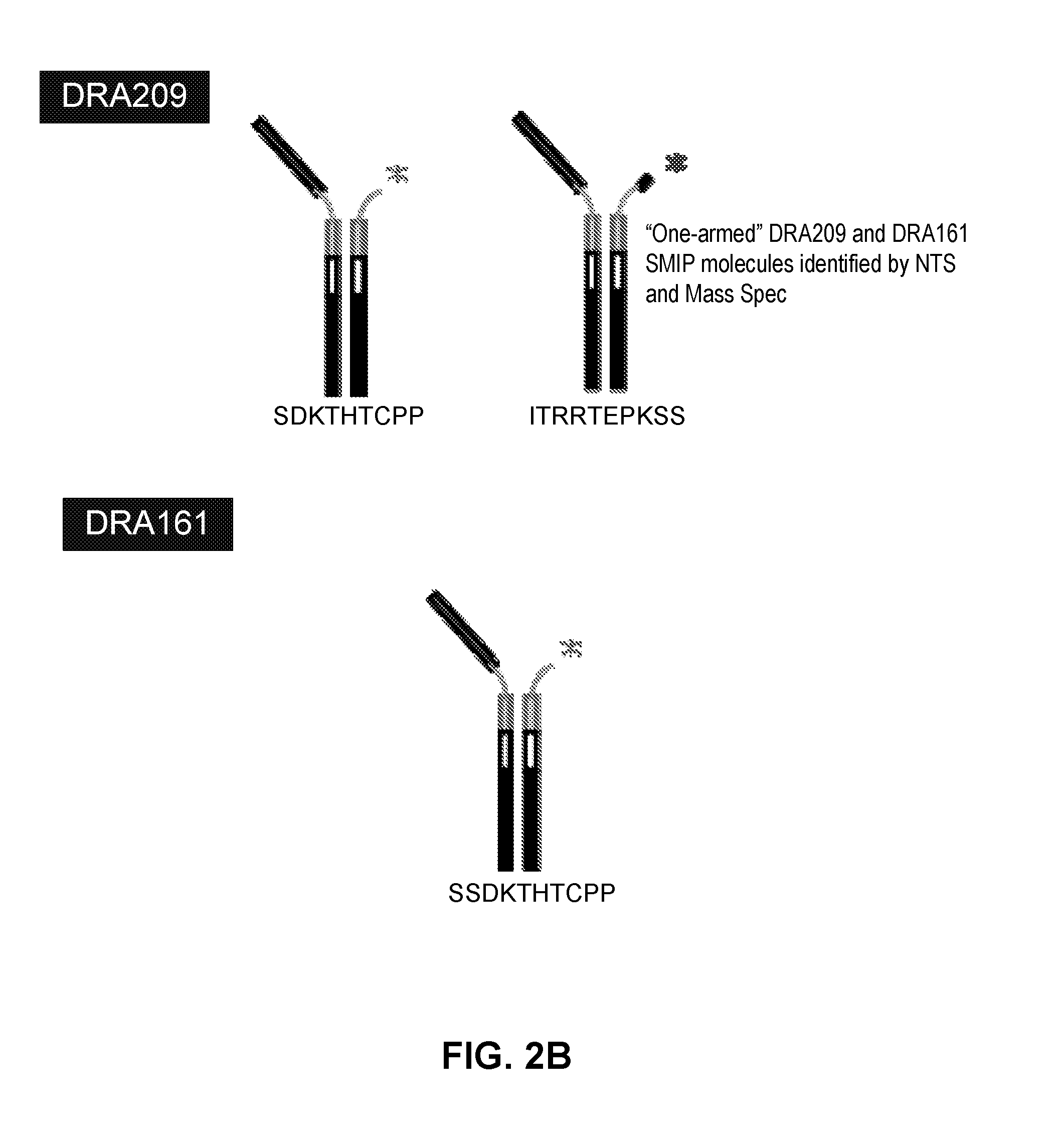 Cd3 binding polypeptides