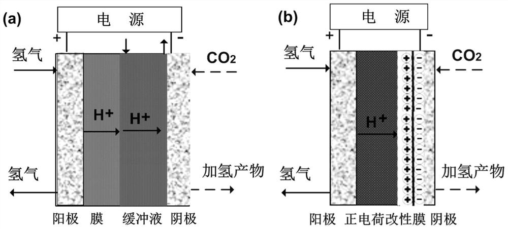 A membrane method to regulate the electrochemical hydrogen pump co  <sub>2</sub> Method for Cathodic Potential in Hydrogenation Reactor