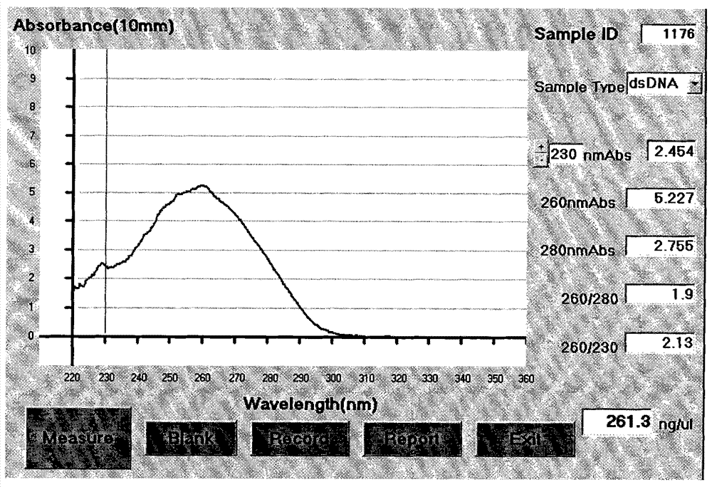 Method for detecting mononucleotide polymorphism locus rs2236058 of hypertension susceptibility genes and detection kit