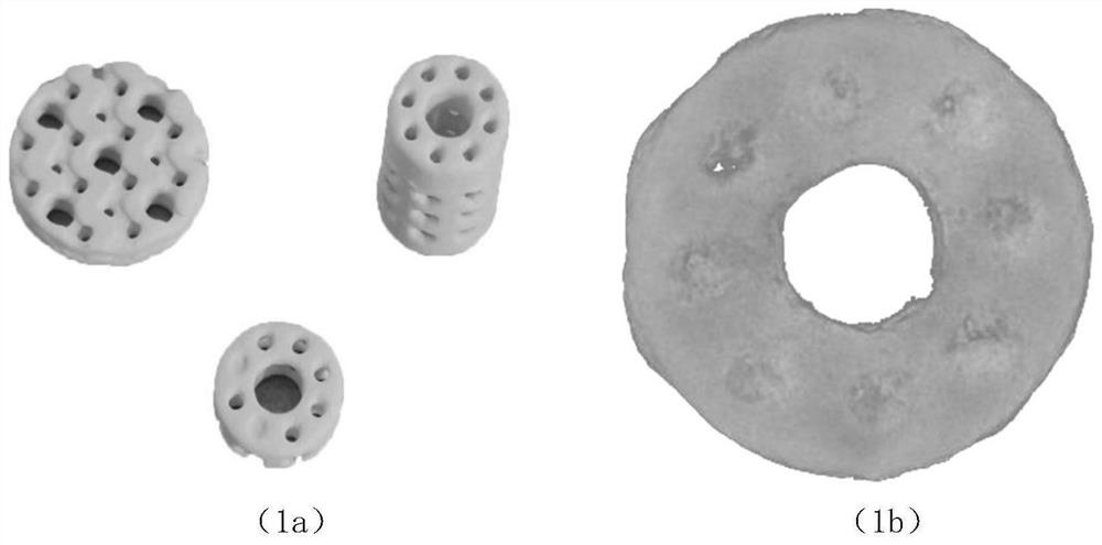 Bioactive 3D printing ceramic and preparation method thereof