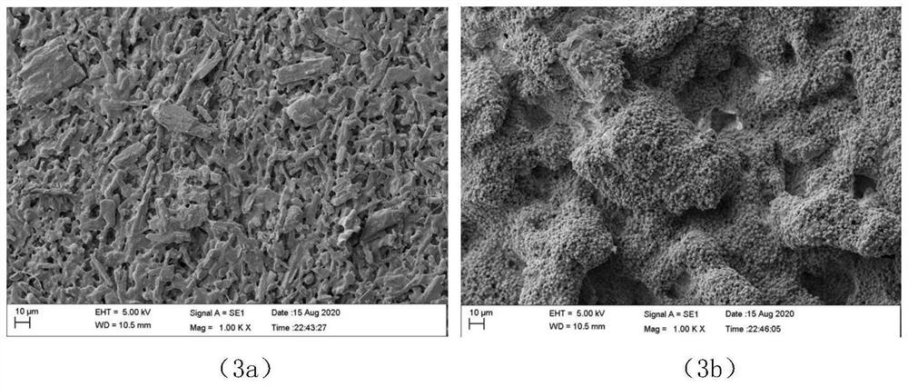 Bioactive 3D printing ceramic and preparation method thereof