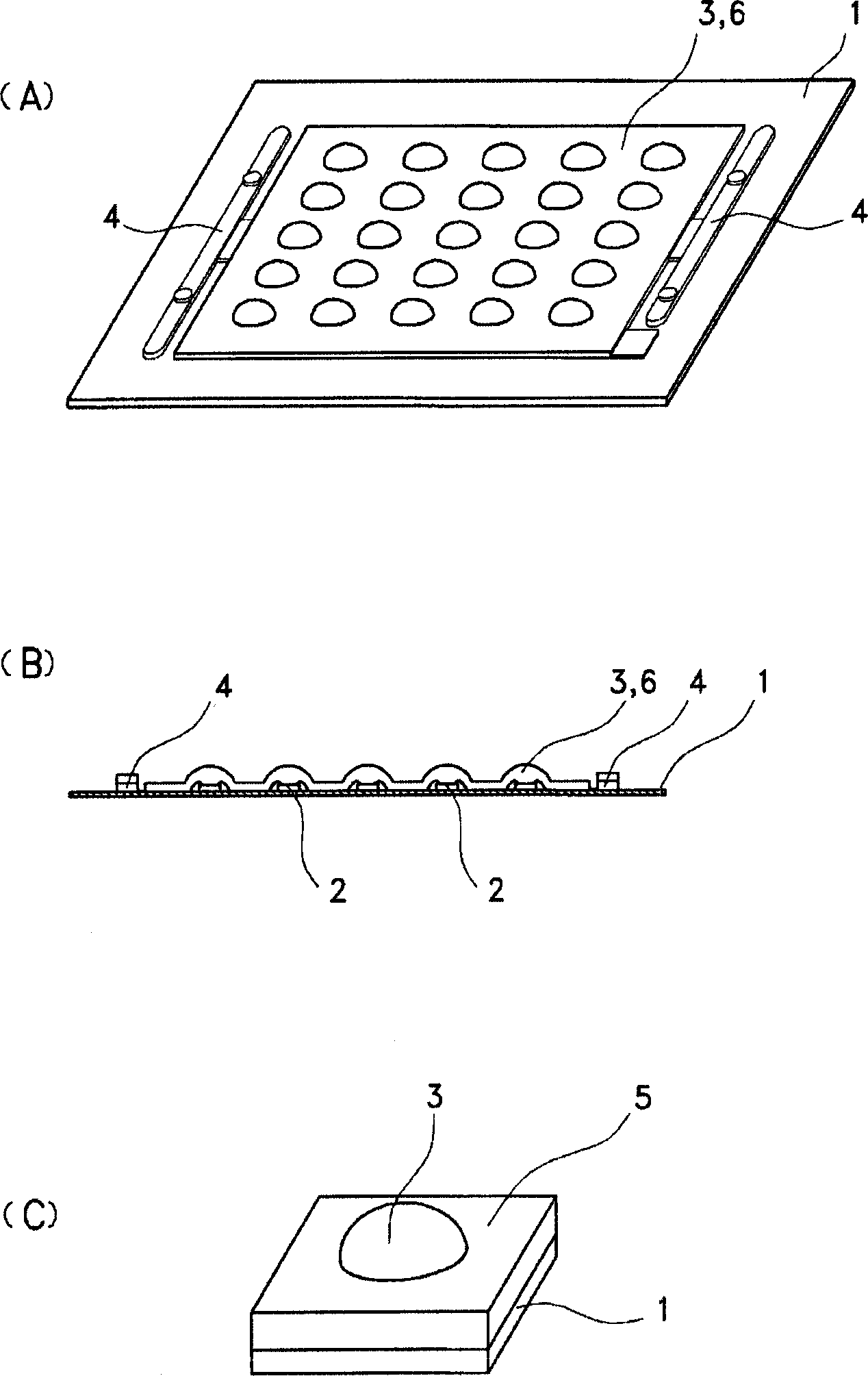 Resin Encapsulation Apparatus And Resin Encapsulation Process