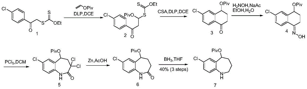 Synthetic method of 7-chloro-1,2,3,4-tetrahydrobenzo[b]azepine-5-one