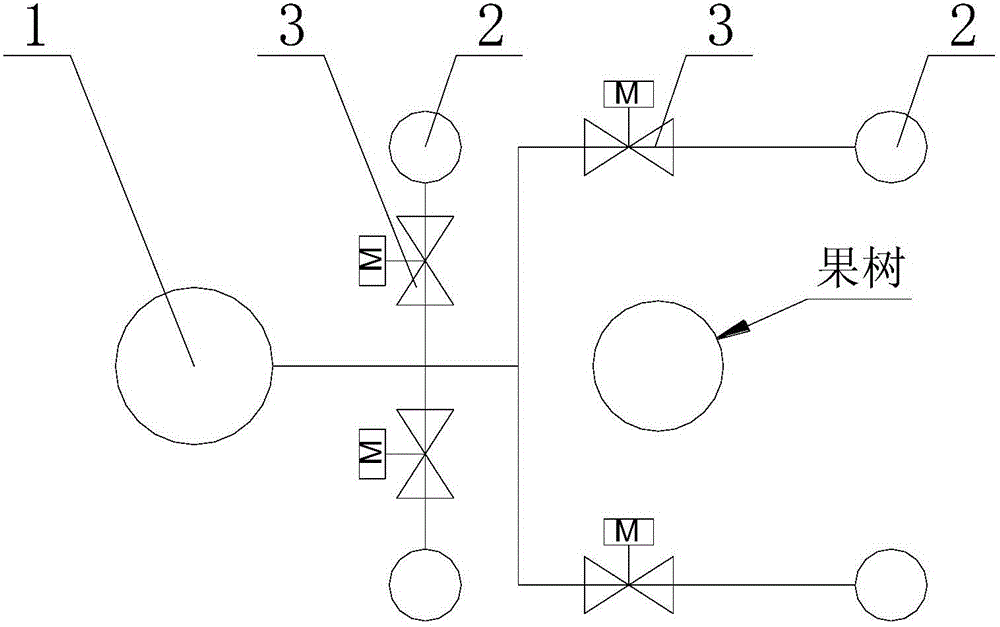 Automatic drip irrigation device for fruit trees