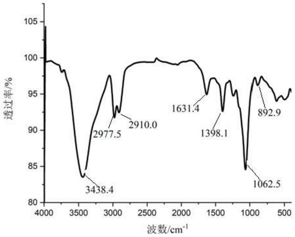 Enteromorpha prolifera polysaccharide with immunomodulatory activity and preparation method of enteromorpha prolifera polysaccharide