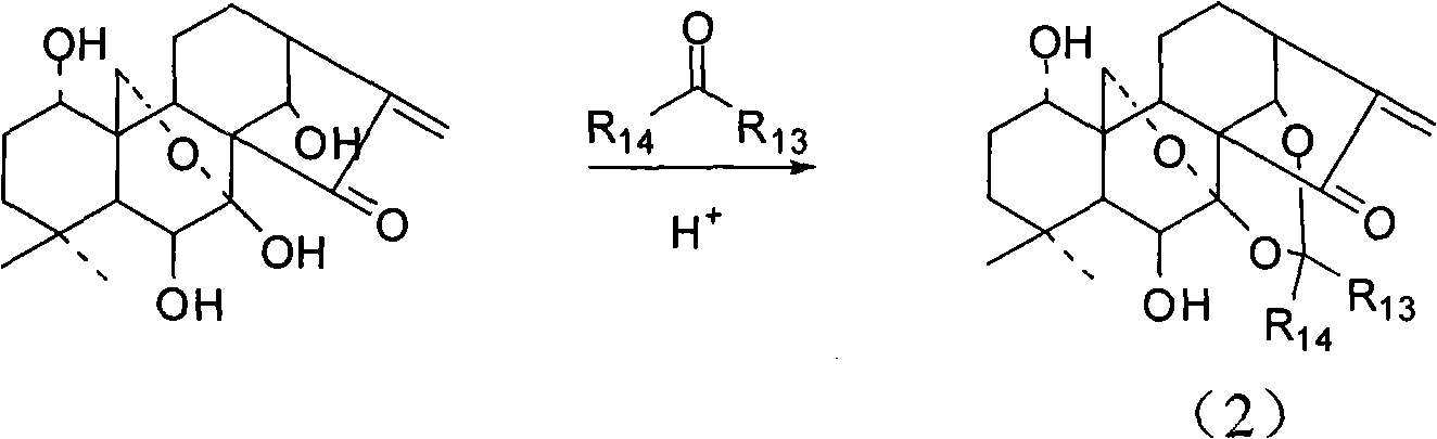 Water soluble oridonin derivative and preparation method thereof