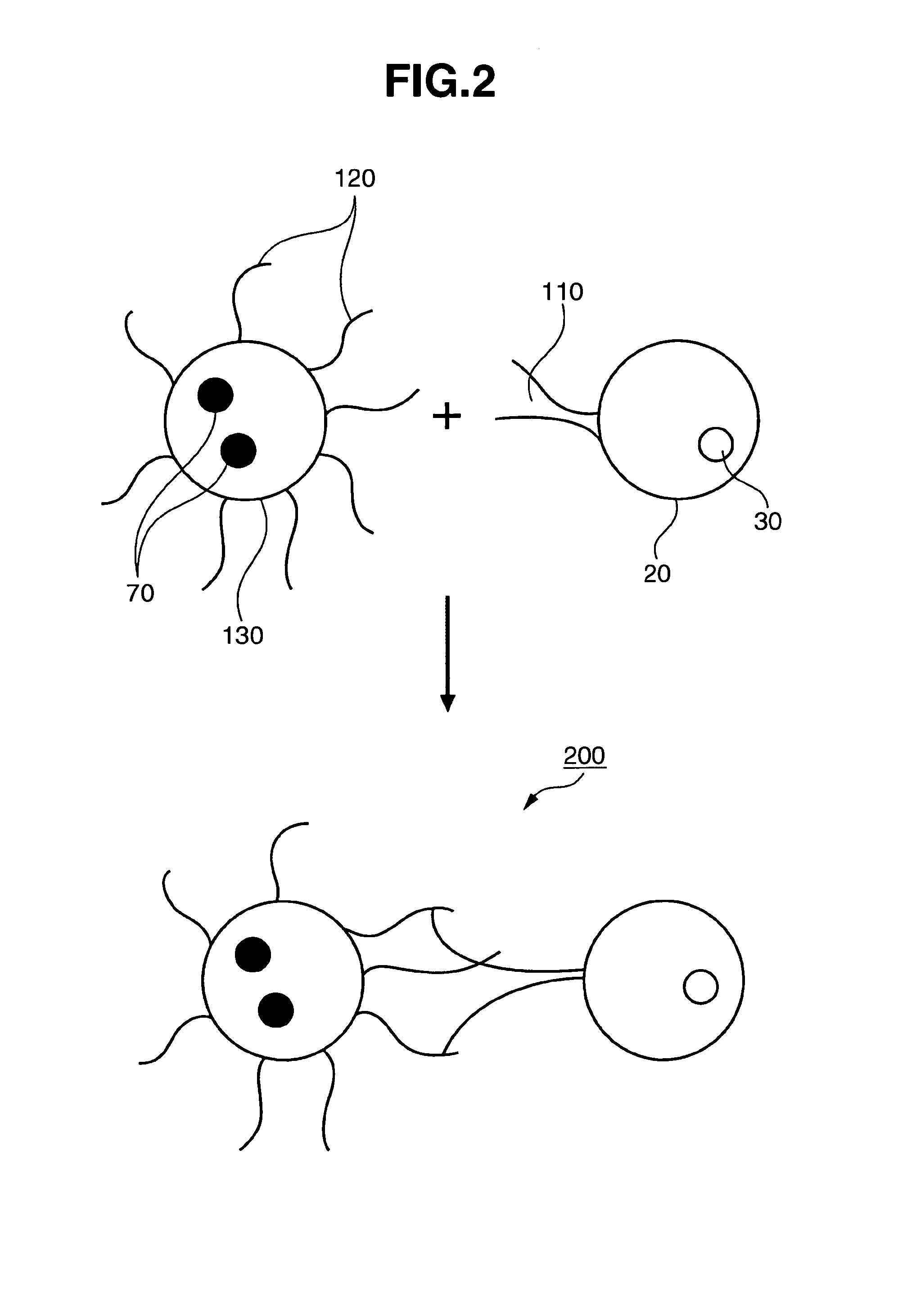 Magnetic cell and method of using the same
