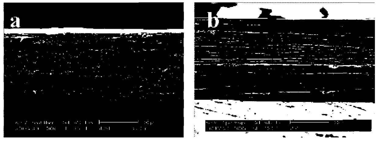 A kind of preparation method of double-layer structure corneal repair material