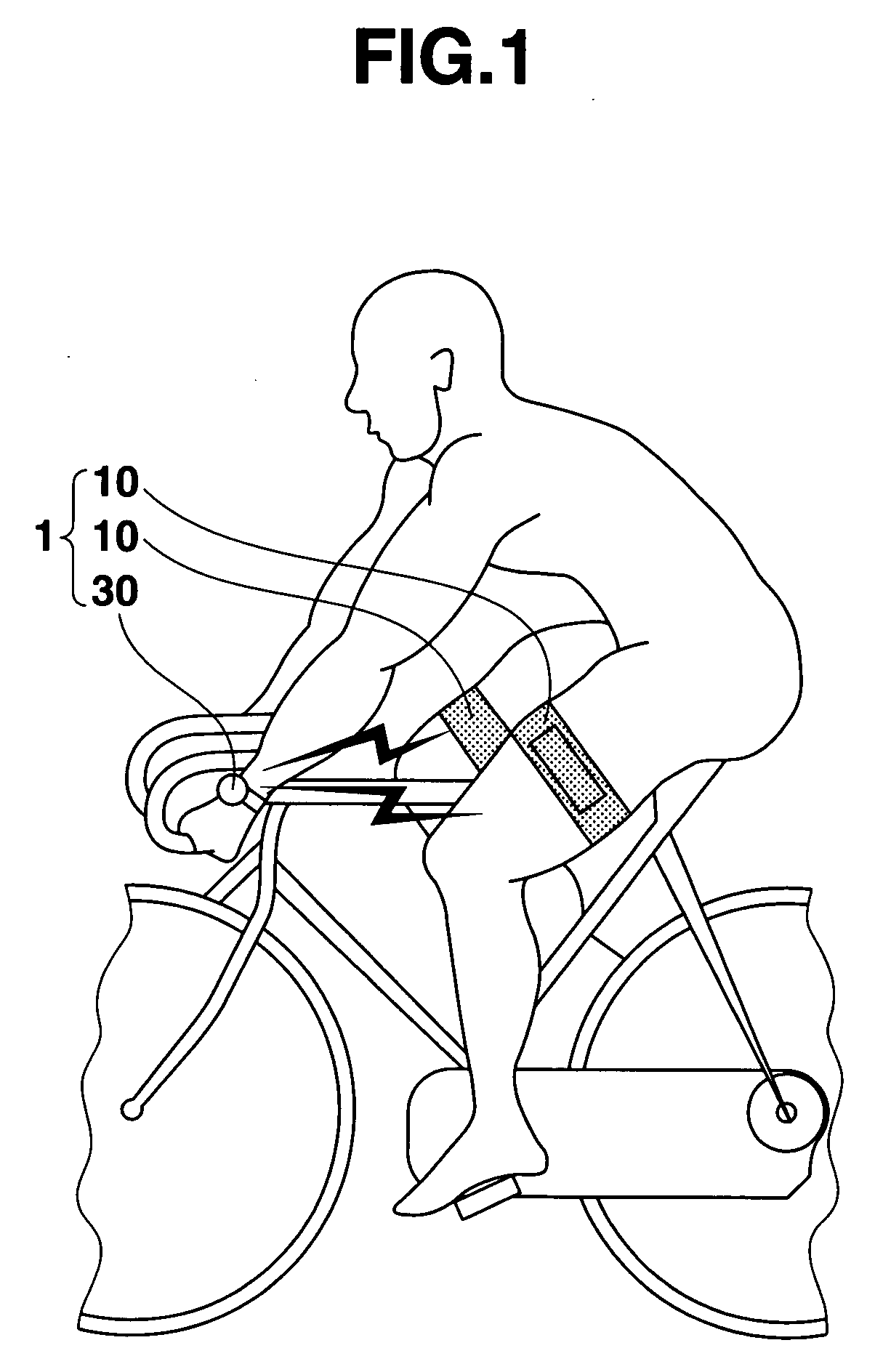 Biological information measuring device and biological information measuring system