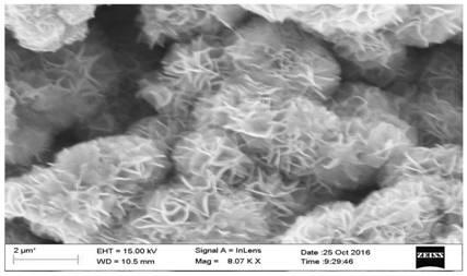 A kind of preparation method of molybdenum disulfide co-doped with fluorine and nitrogen