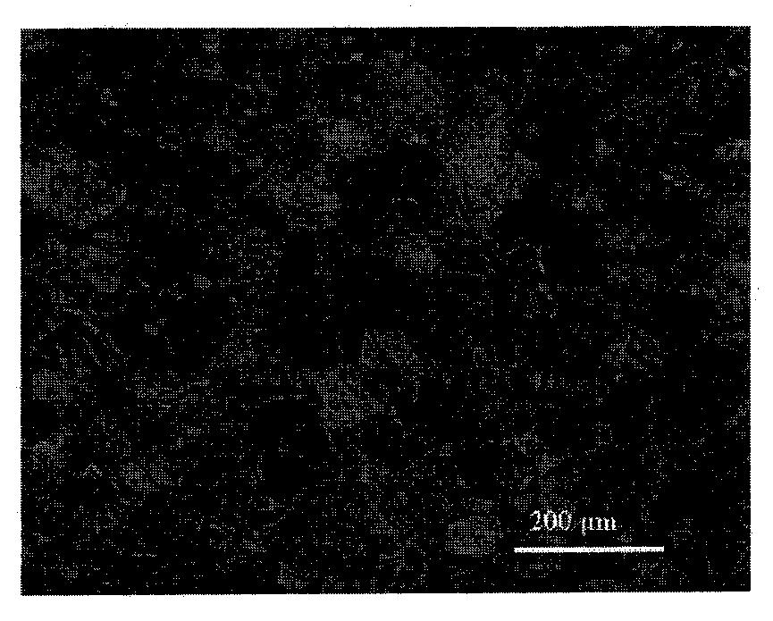 Degradable magnesium-base biomedical material for implantation in orthopaedics, and preparation method thereof