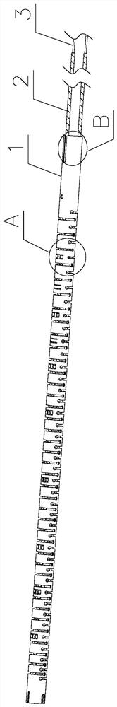 Sectional type disposable ureteroscope snake bone assembly - Eureka ...