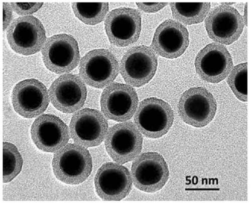 Application of a nanoparticle-coupled probe system in the highly sensitive detection of ctdna