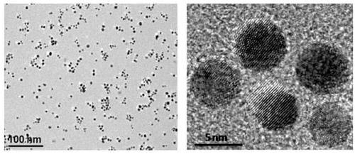 Application of a nanoparticle-coupled probe system in the highly sensitive detection of ctdna