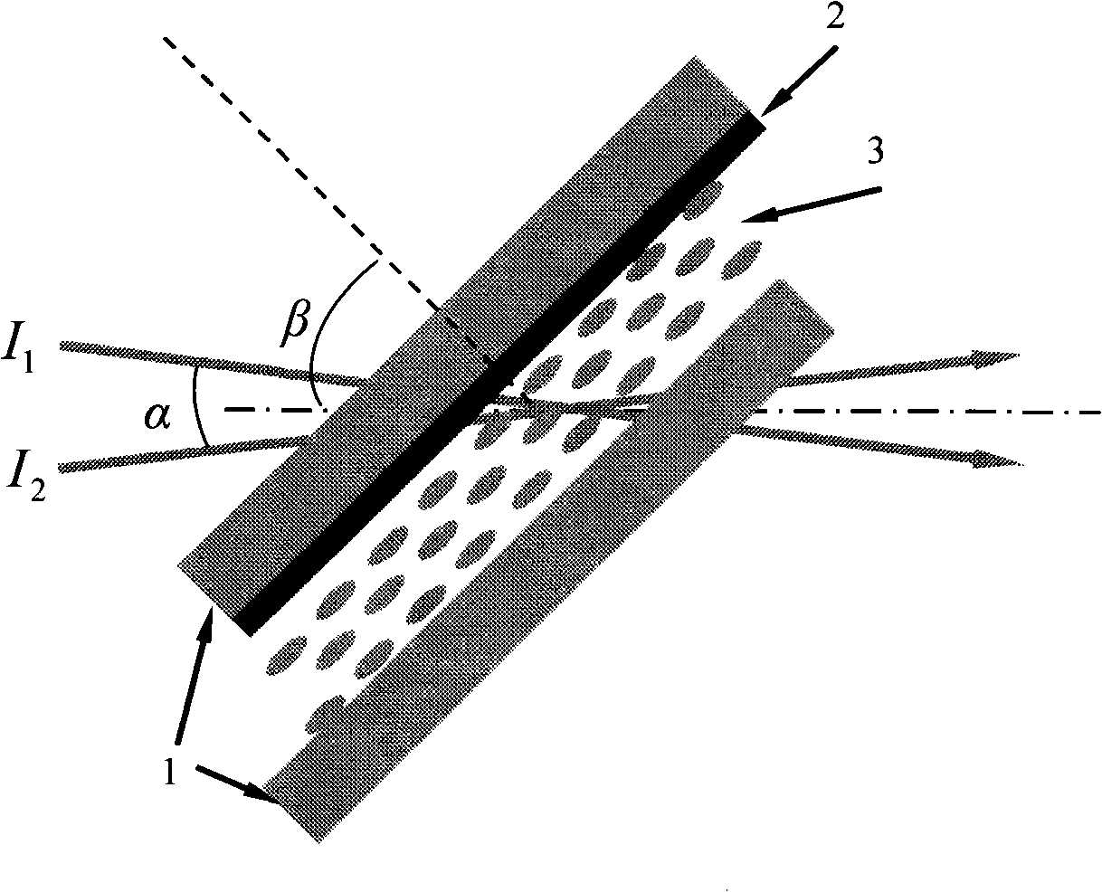 Preparation of nematic liquid crystal film and recording method of high resolved transient grating thereof