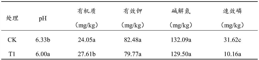 Composite biological organic bacterial fertilizer, and preparation method and application thereof