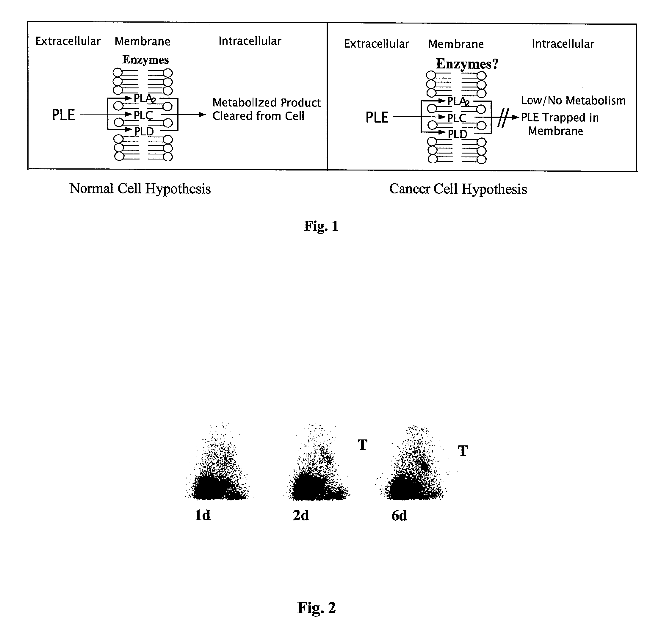 Phospholipid analogs as diapeutic* agents and methods thereof