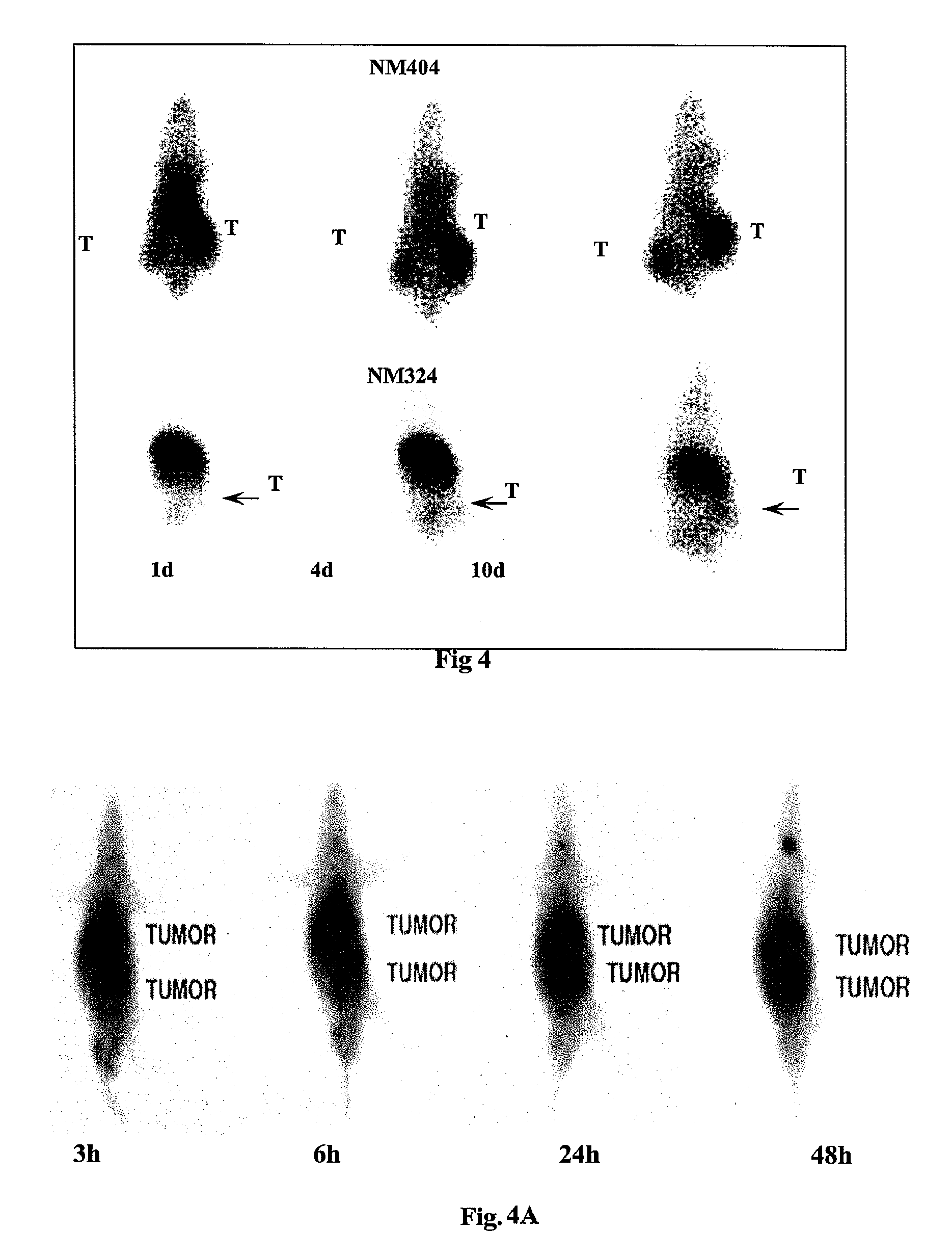 Phospholipid analogs as diapeutic* agents and methods thereof