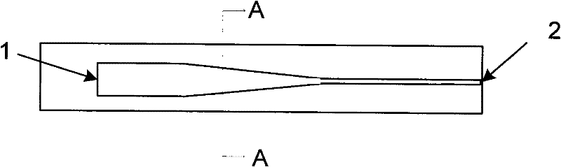 Microfluid chip and spinning method thereof