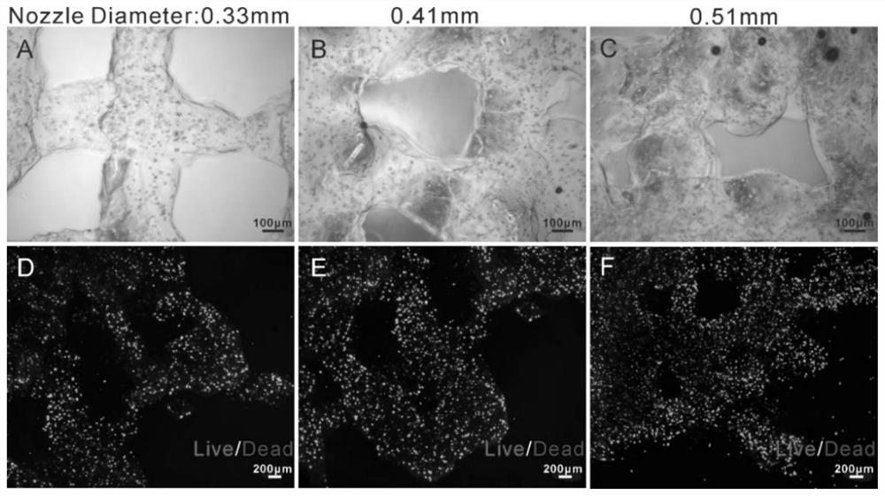 Skin bio-printing ink as well as preparation method and application thereof