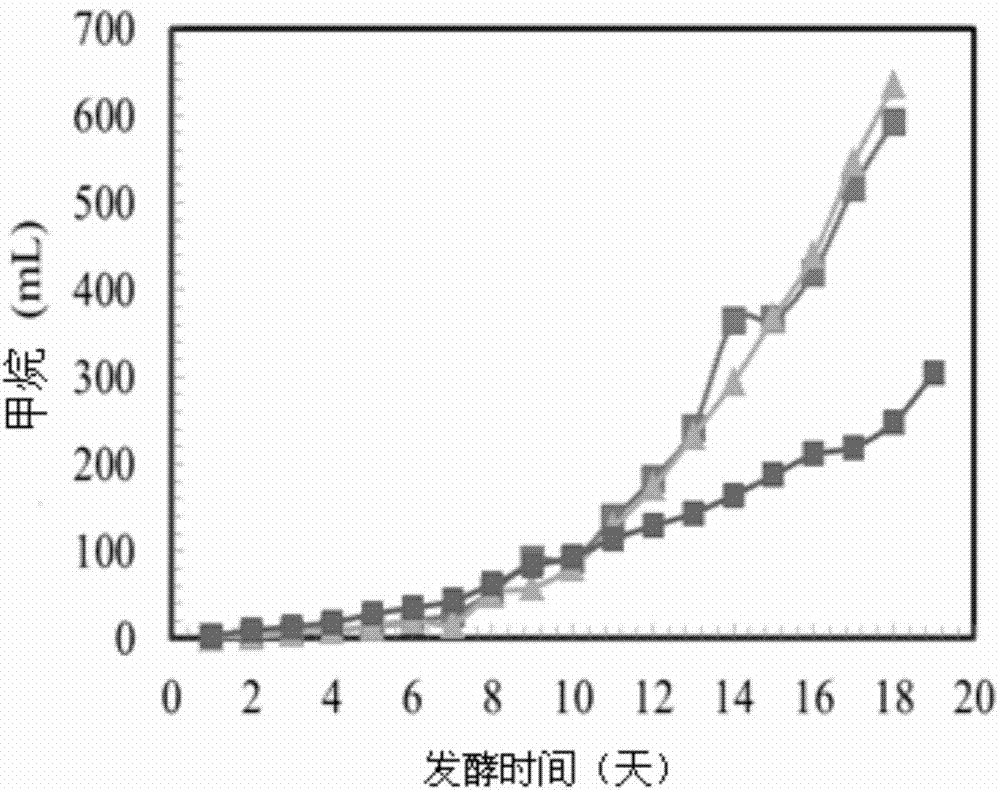 Method for promoting anaerobic digestion of sludge through electrical mediation of microorganisms