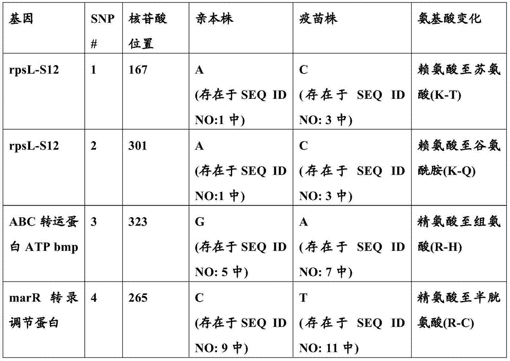 Attenuated streptococcus suis vaccines and methods of making and use thereof