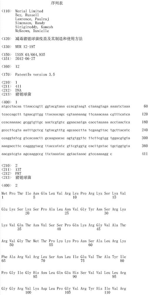 Attenuated streptococcus suis vaccines and methods of making and use thereof