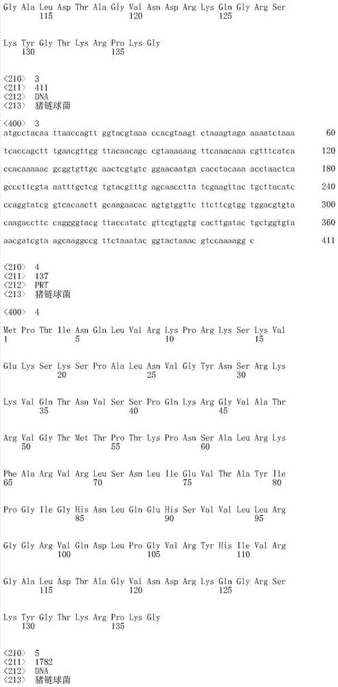 Attenuated streptococcus suis vaccines and methods of making and use thereof