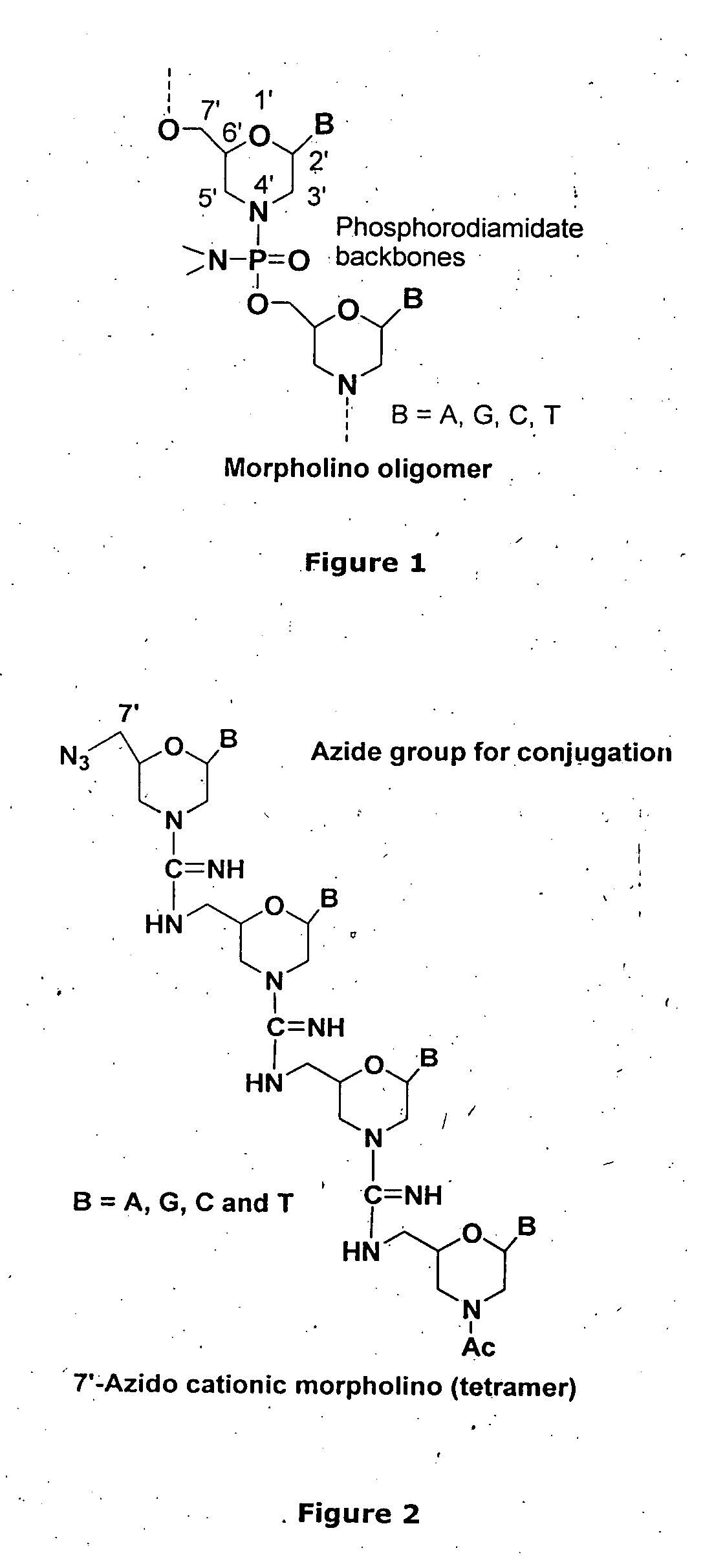Morpholino-based antisense agent