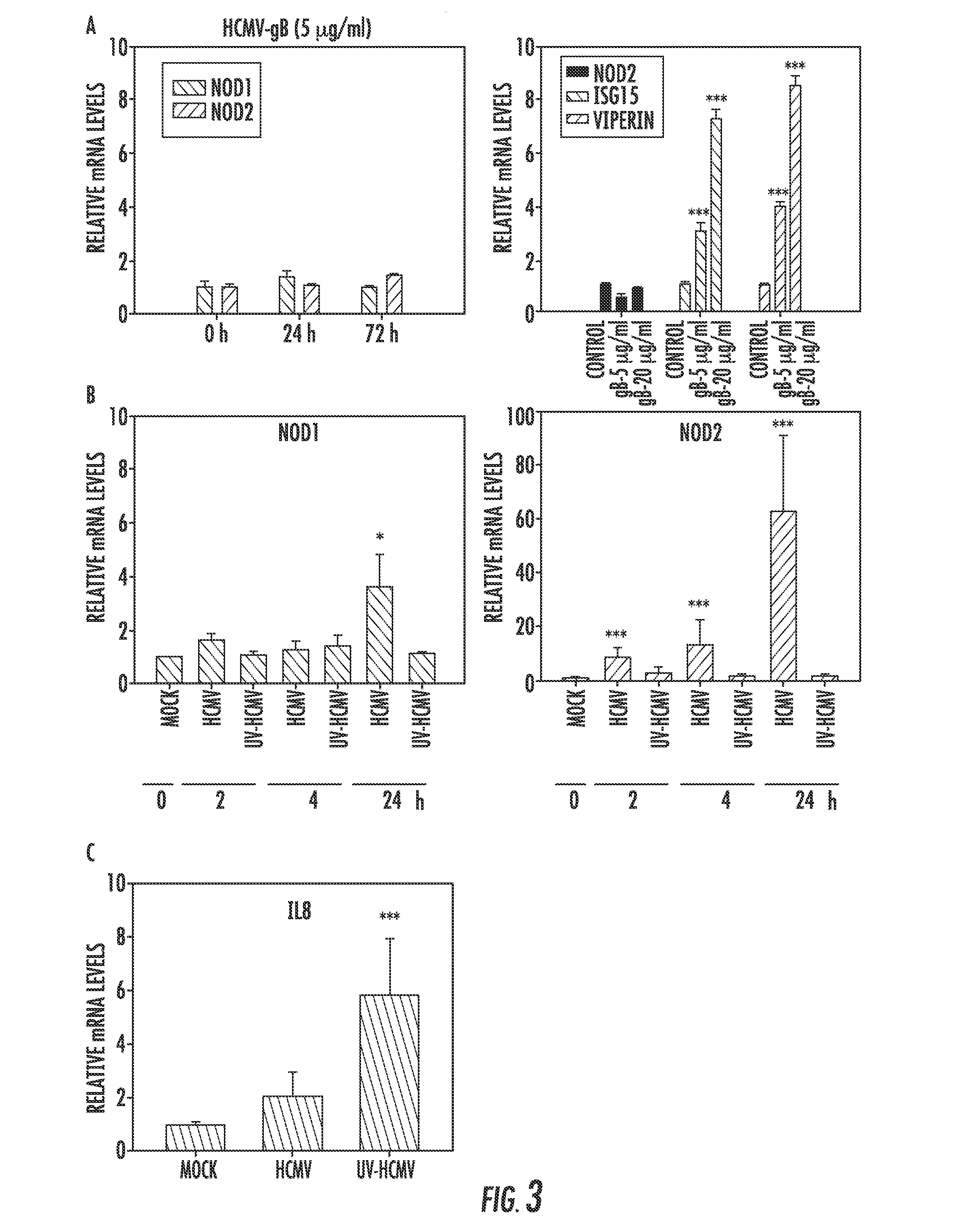 Compositions and methods for prediction and treatment of human cytomegalovirus infections